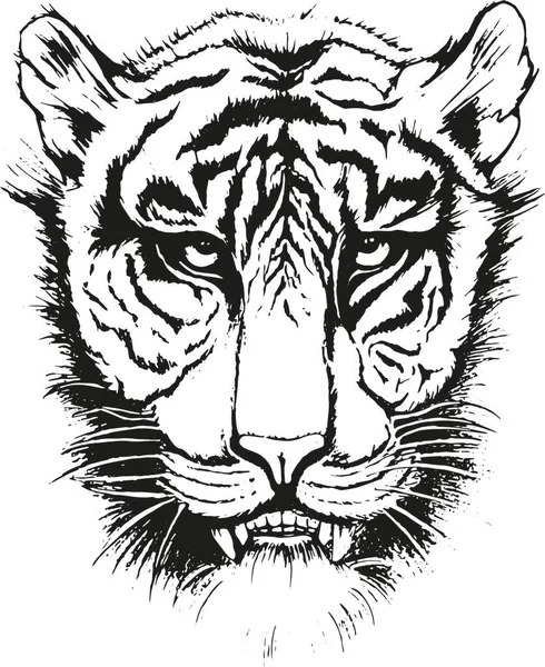 Elle çizilmiş siyah beyaz kaplan yüzü   