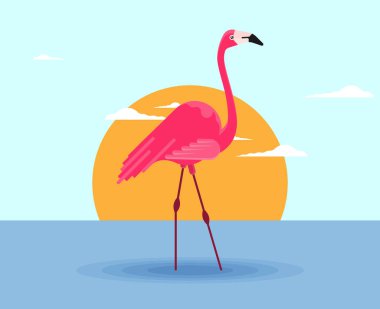 Flamingo kuşu düz illüstrasyon vektörü