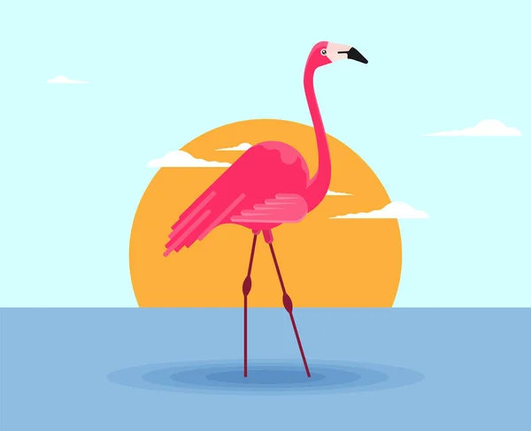 Planície Ilustração Vector Flamingo Pássaro — Vetor de Stock