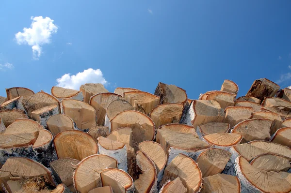 Birch firewood against the blue sky — Stock Photo, Image