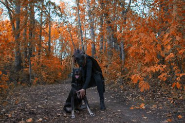 Siyah maskeli ve kırmızı ormanda köpeği olan bir kız. Cadılar Bayramı için bir fikir..