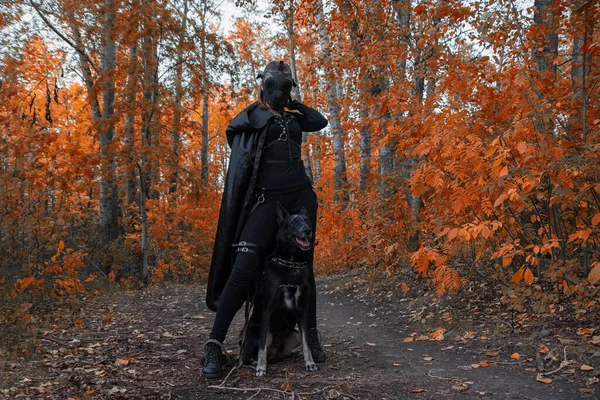 赤い森の中の犬と黒の仮面の少女。ハロウィンのアイデア. — ストック写真