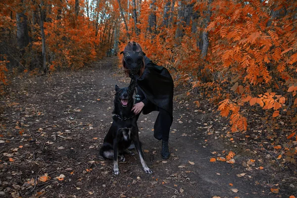 Una chica con un disfraz de bdsm y una máscara negra y con un perro en bosque rojo.una idea para Halloween. — Foto de Stock