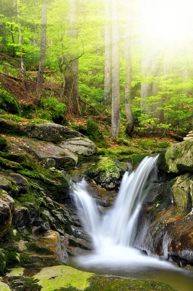 Beautiful waterfalls — Stock Photo, Image