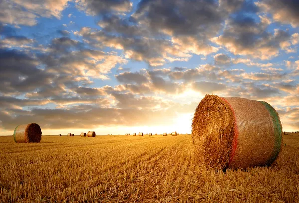 Straw bales — Stock Photo, Image