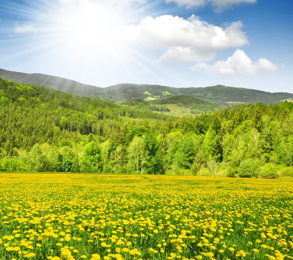 Spring landscape — Stock Photo, Image