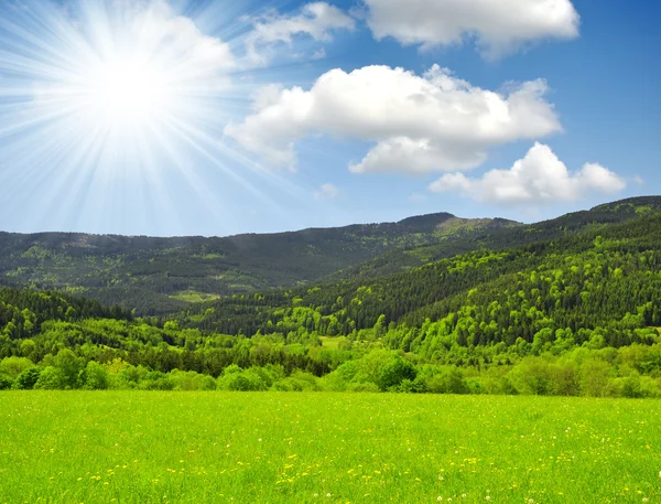 Frühlingslandschaft — Stockfoto