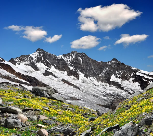 Schweizer Alpen — Stockfoto