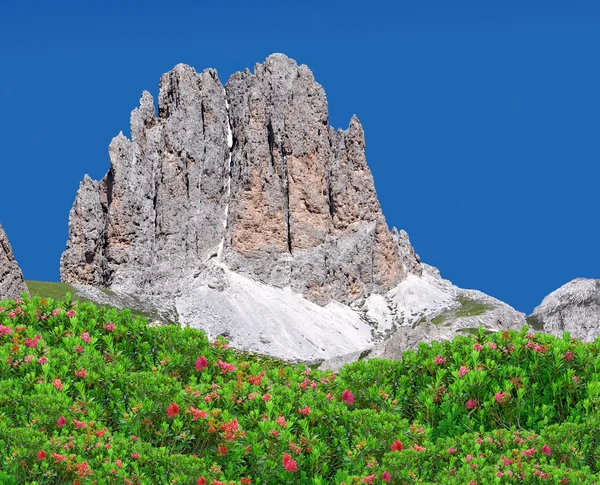 Vrcholy Dolomit, rosengarten — Stock fotografie