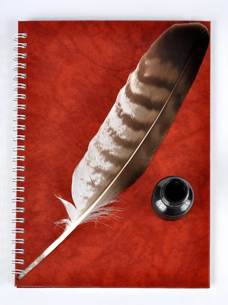 Fjäder med bläckhornet och arbetsbok — Stockfoto