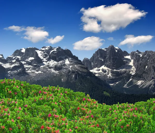 Brenta-Dolomiterna Italien — Stockfoto