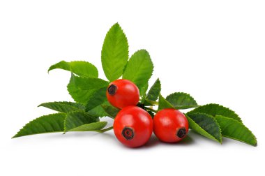 Rose HIPS