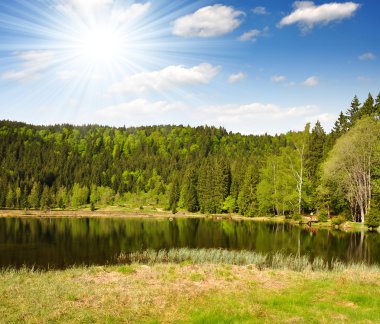 milli park Bavyera ormanı - Almanya