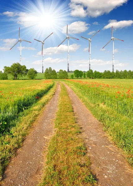 Camino de campo — Foto de Stock