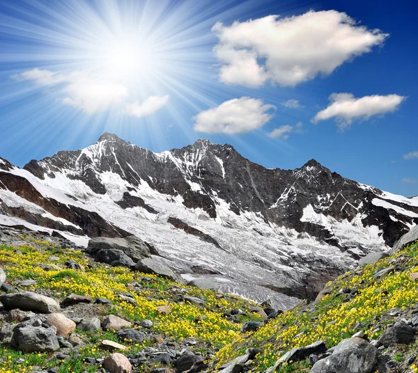 Zwitserse Alpen — Stockfoto