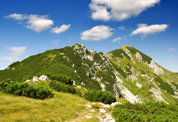 Julské Alpy - Slovinsko, Evropa — Stock fotografie