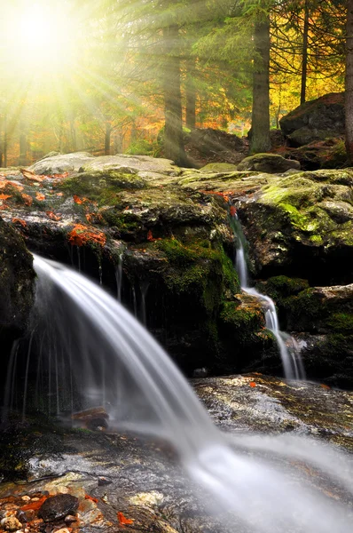 Waterval in het herfstbos — Stockfoto
