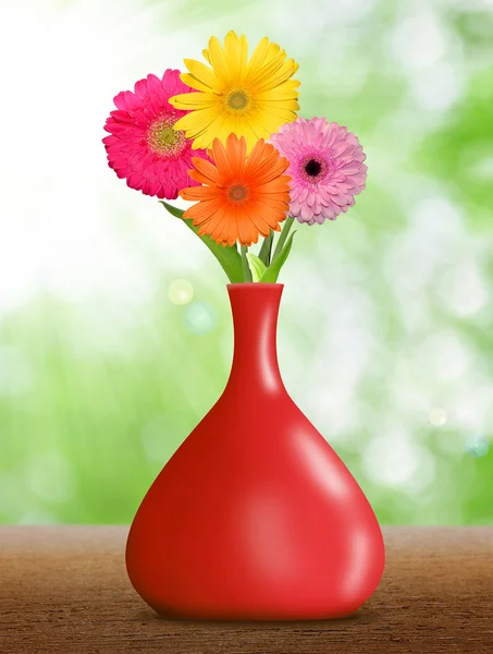 Gerberas — Fotografia de Stock