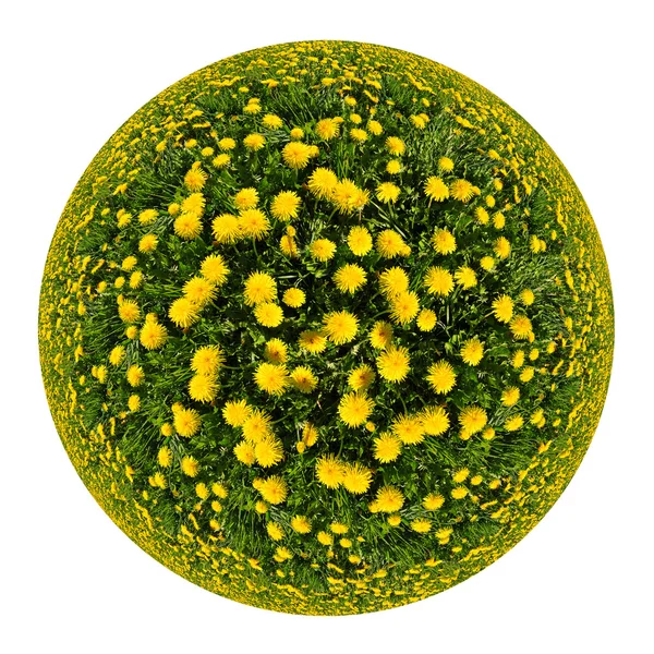 Planet from the dandelions — Stock Photo, Image