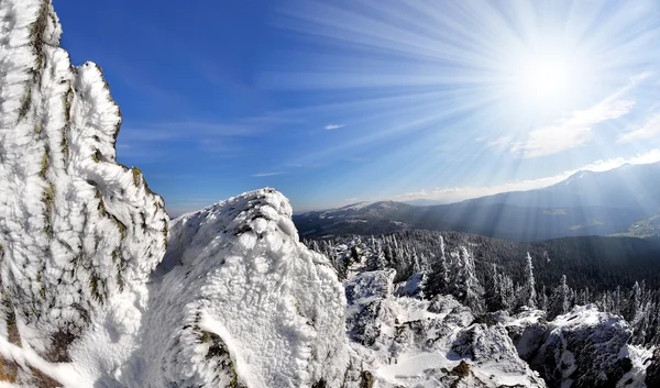 Paisagem inverno — Fotografia de Stock