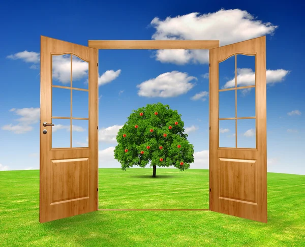 Open the door — Stock Photo, Image