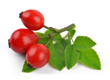 Rose HIPS