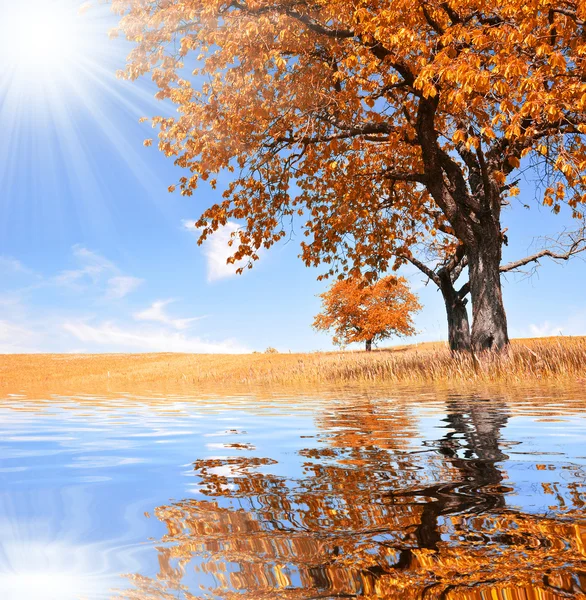 Autumn landscape — Stock Photo, Image