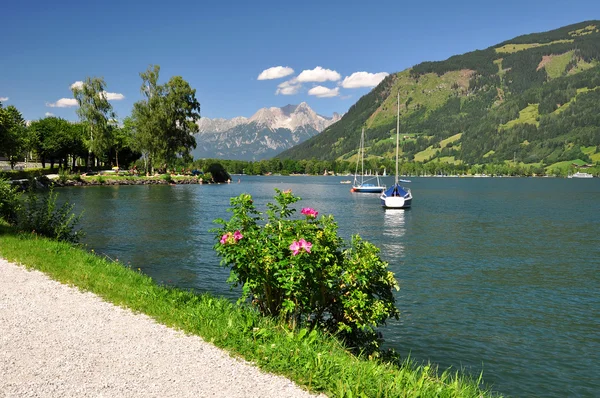 Zell ben zien — Stockfoto