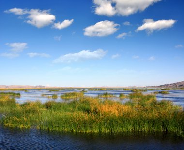 Titicaca gölü