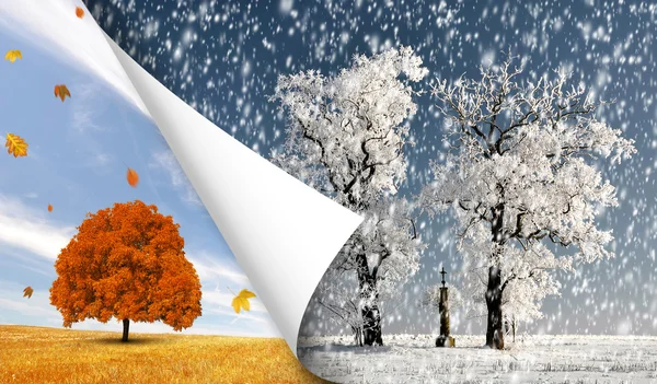 Autumn and winter — Stock Photo, Image