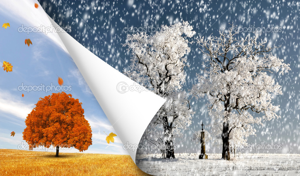 Autumn and winter