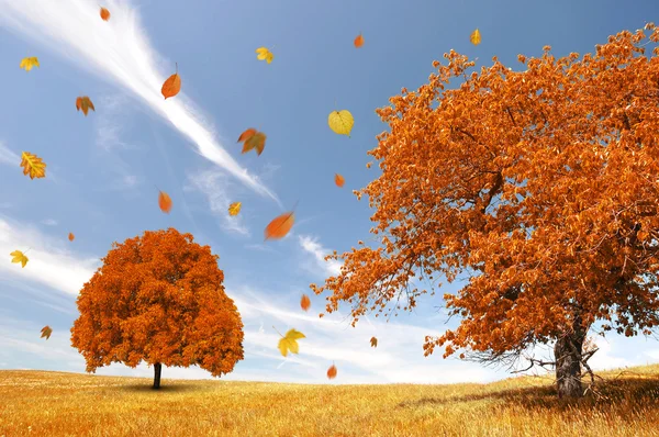 Autumn landscape — Stock Photo, Image