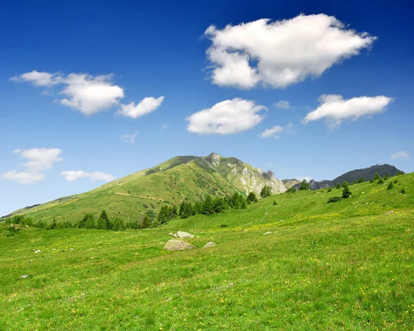 Passo Tonale — Stock Photo, Image