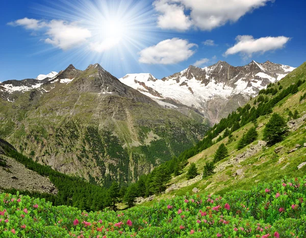 Zwitserse Alpen — Stockfoto