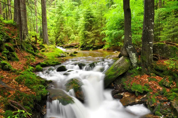 Waterfall — Stock Photo, Image