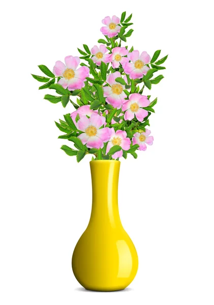 Dog rose in the yellow vase — Stock Photo, Image