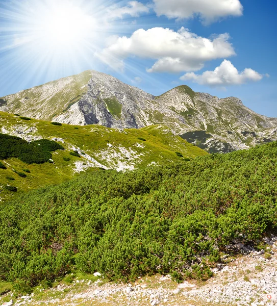 Triglav National Park — Stock Photo, Image