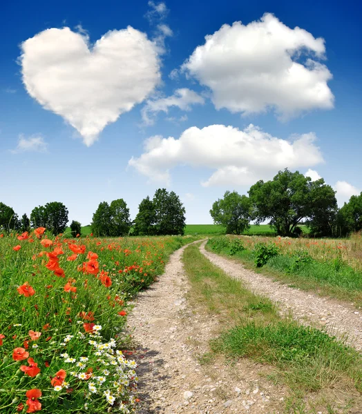 Strada nel campo di grano — Foto Stock