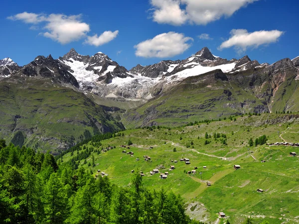 Schweizer Alpen — Stockfoto