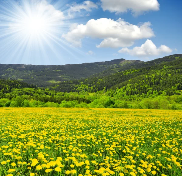 Paesaggio di primavera — Foto Stock