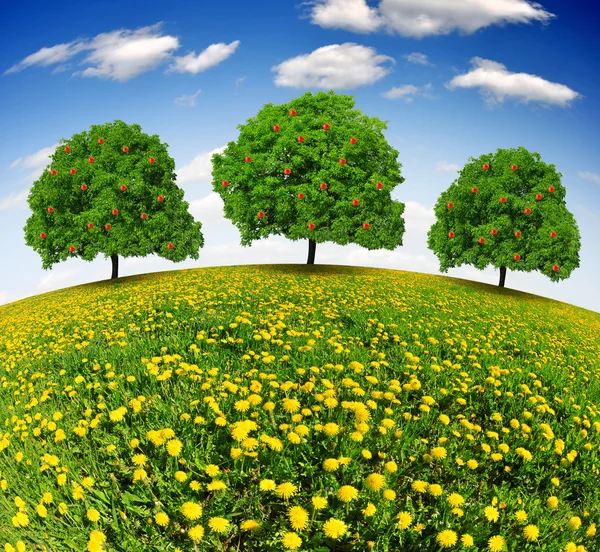 Jarní stromy — Stock fotografie