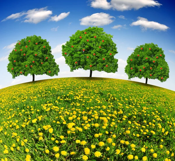 Spring trees — Stock Photo, Image