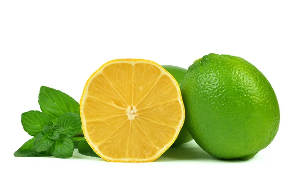 Limon ve limes — Stok fotoğraf