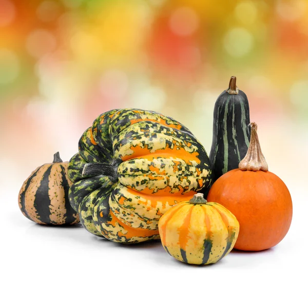 Calabazas — Foto de Stock