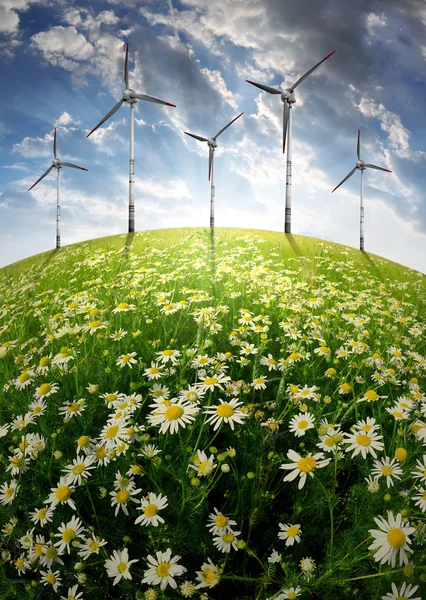 Цветущий луг с ветряными турбинами — стоковое фото