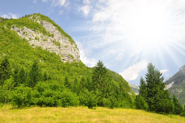 Valle de Voje — Foto de Stock