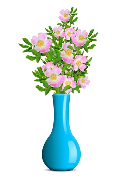 Nypon i blå vasen — Stockfoto