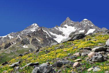 Ober gabelhorn - İsviçre Alpleri