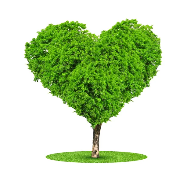 Árbol en forma de corazón — Foto de Stock