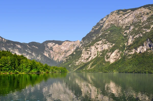 Lago bohinj — Fotografia de Stock